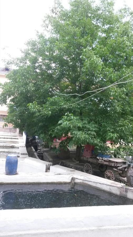 Alanlar Alabalik Ve Otel Aglasun Bagian luar foto